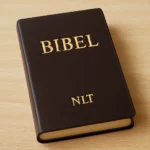 bibel nlt