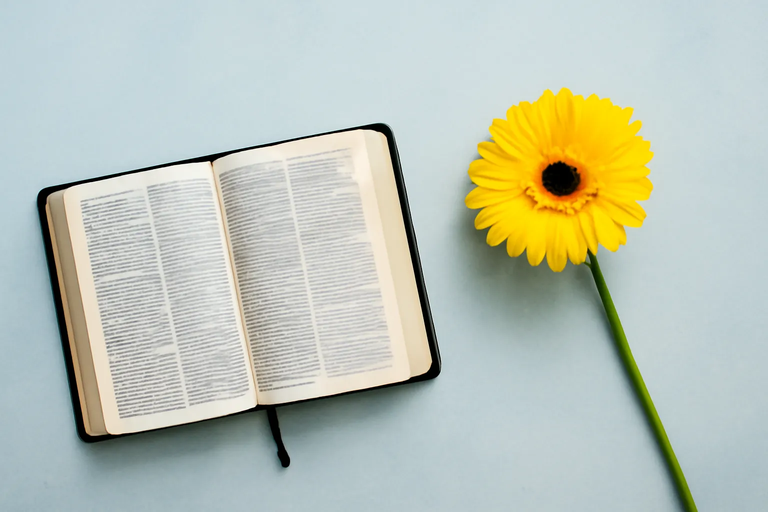 bibel verse geburtstag