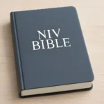 niv bibel
